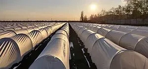 Зелена деталь 3