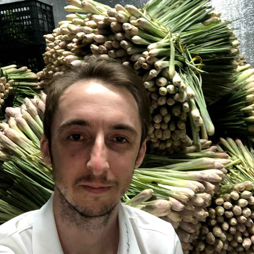 Fresh and frozen lemongrass from Vietnam