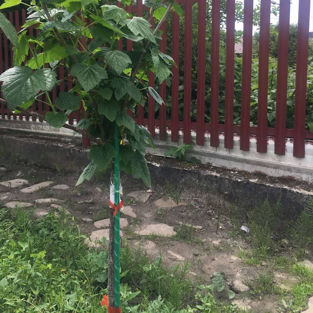 Фото врожаю 23