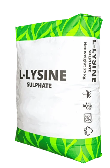 Орыс порно ұялшақ Ересектерге арналған порно видеолар (ұзындығы 2 минут)