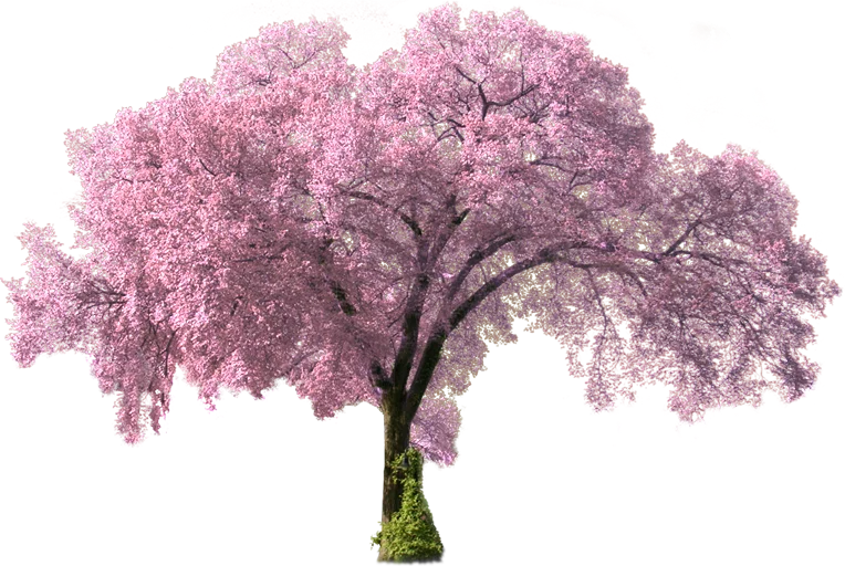 Jinsiy aloqa tasvirlangan kulgichlar