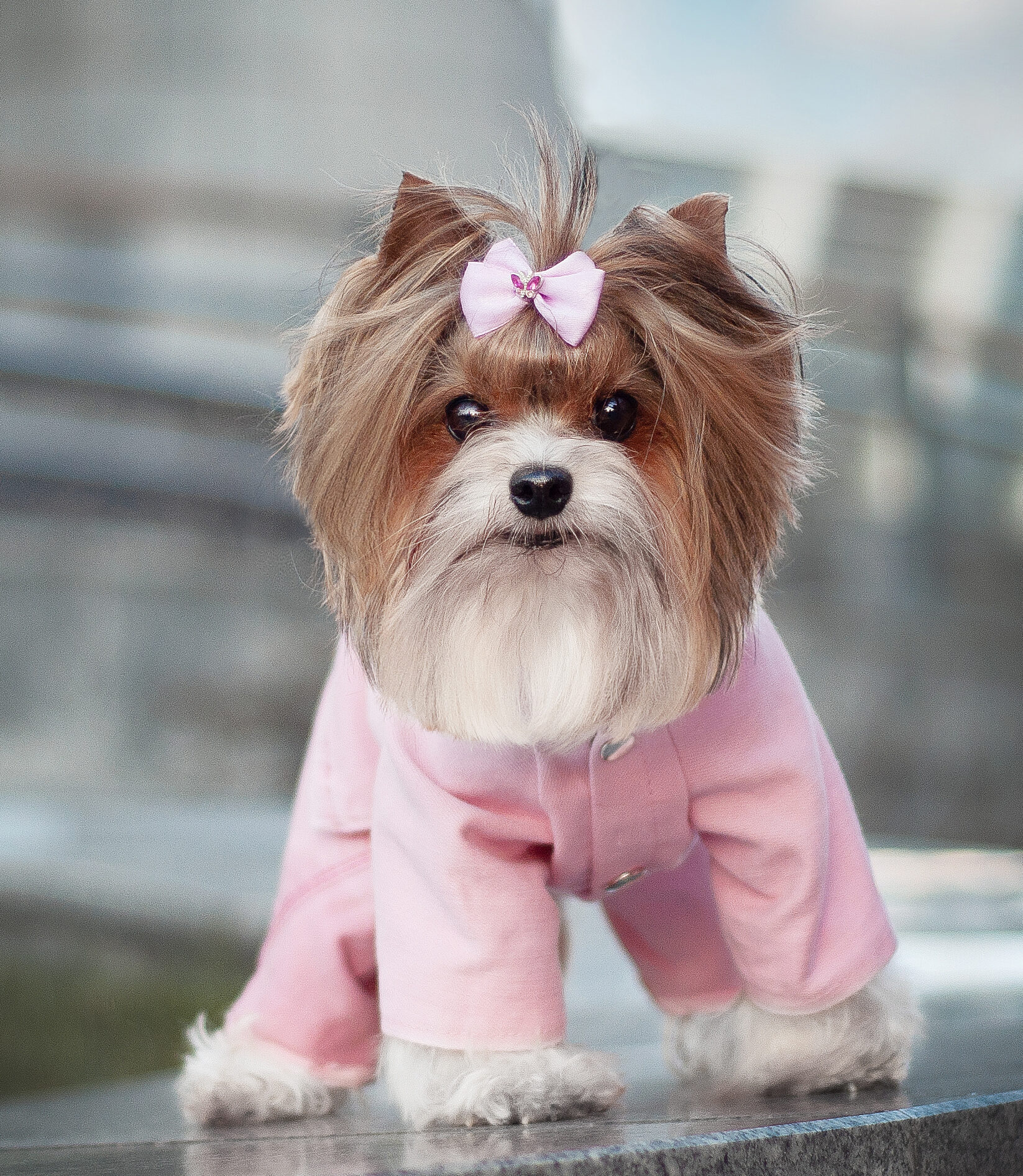 Жетілген татар порно көру