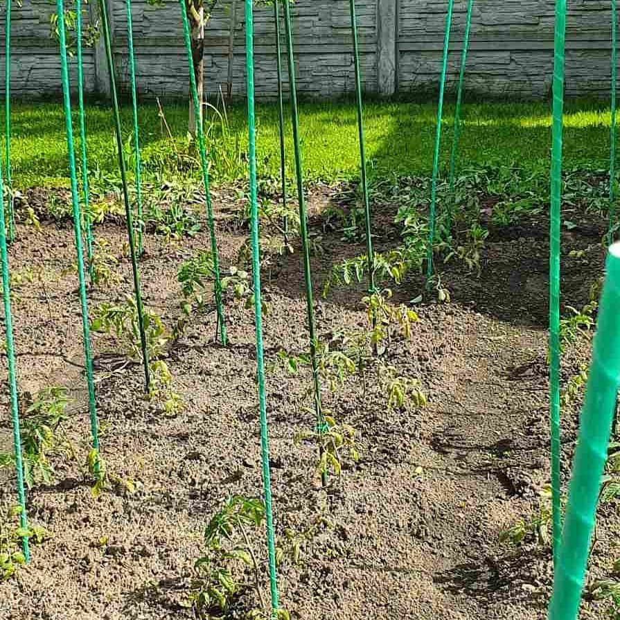 Фото врожаю 20