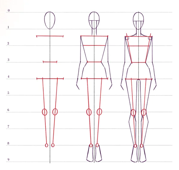 How to draw a fashion figure for a beginner