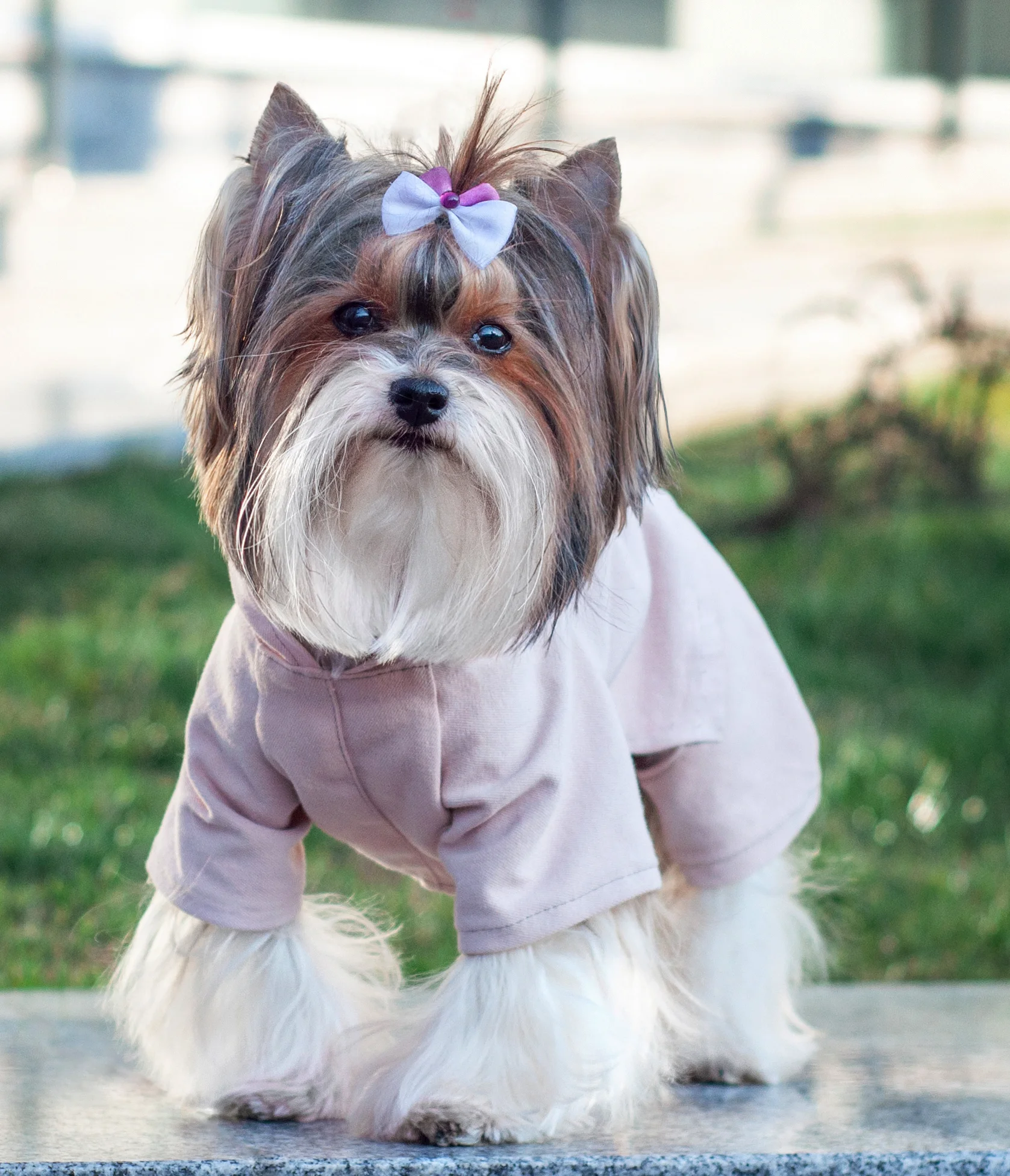 Ішіне бірнеше рет кірді