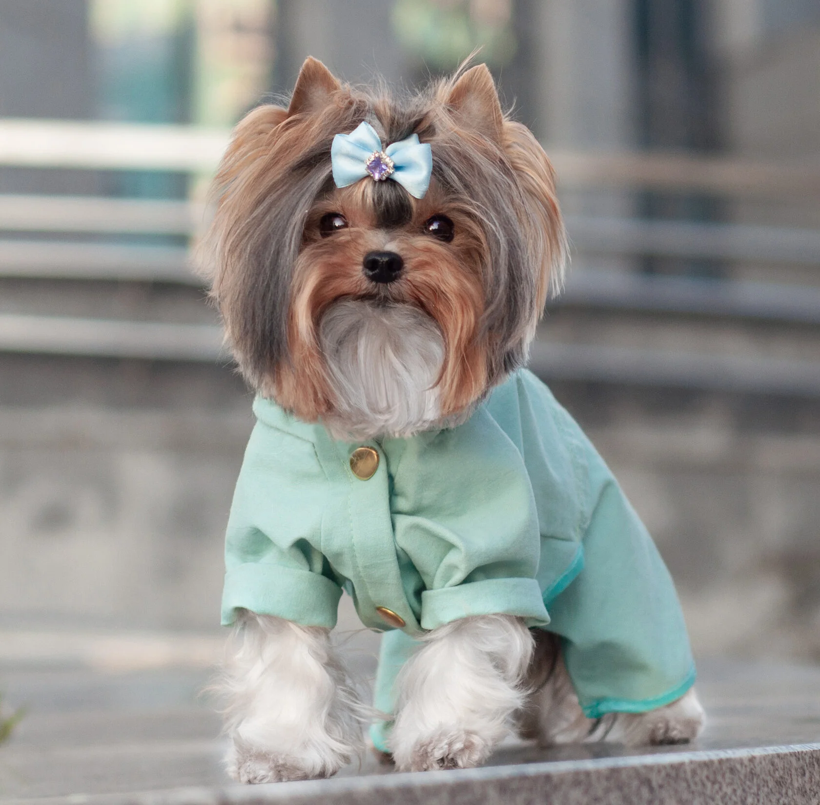 Жыныстық қатынас