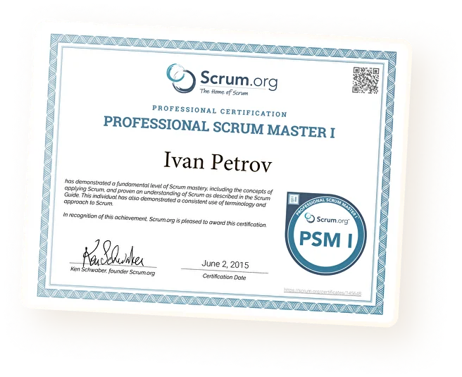 Professional scrum master top