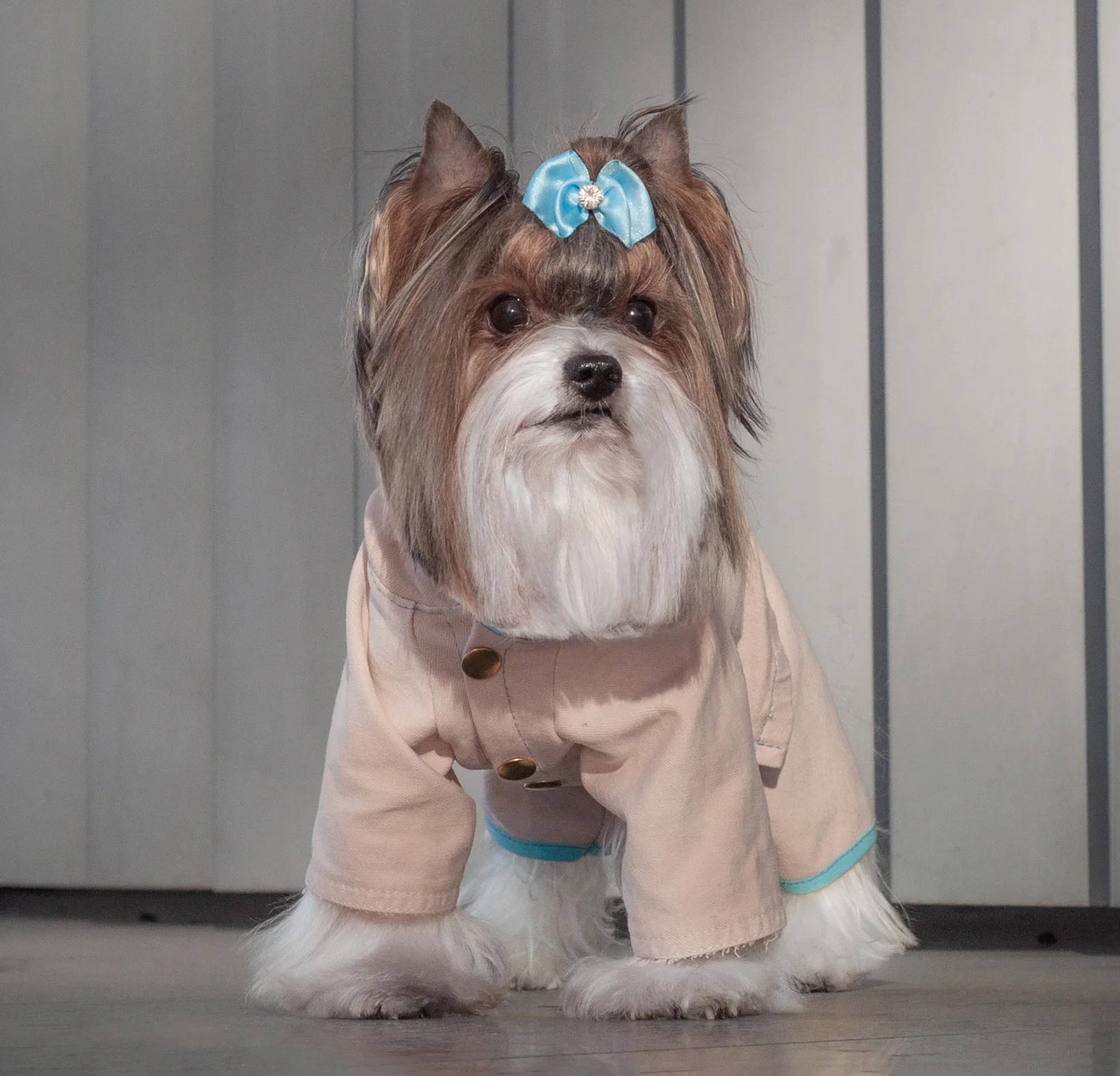 Жоғары сапалы онлайн анилингус порно