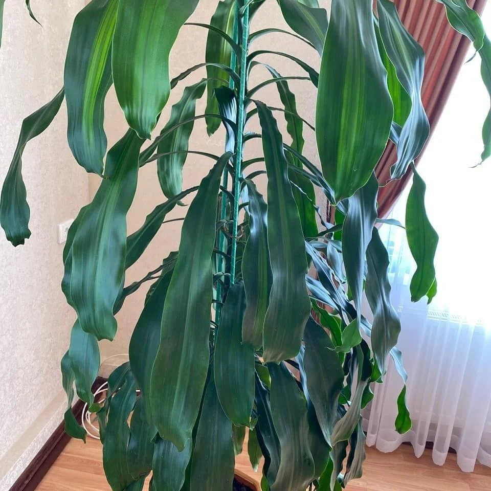 Фото врожаю 24