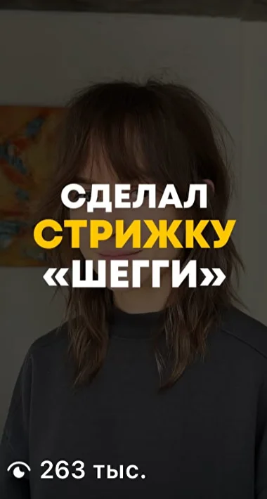 Shag haircut result
