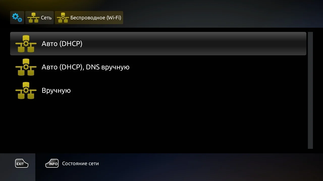 Раздел «Беспроводное (Wi-Fi)»: Авто (DHCP), Авто с ручным DNS, Вручную