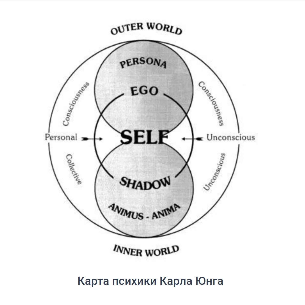 Архетипы: архетипы Юнга или Пирсон? Обзор систем архетипов Описание 12  архетипов личности | Алина Адт