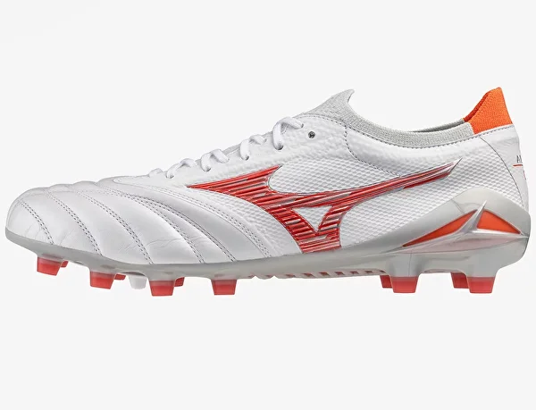Mizuno
