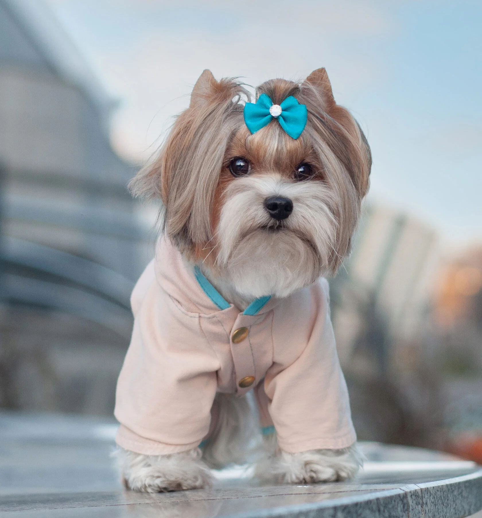 Стриптиз секс кештері