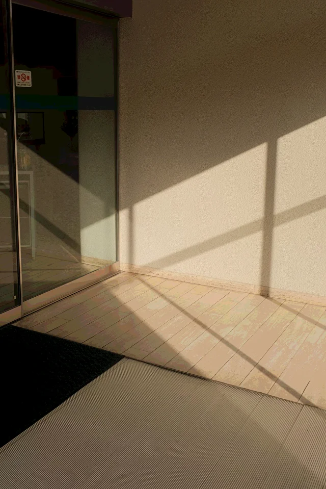 Plumbing & Electrical