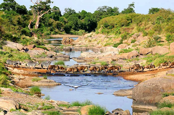 Top 10 Luxury Destination Wedding Places In Kenya - Marry in Kenya — Jafassam Photography Studio