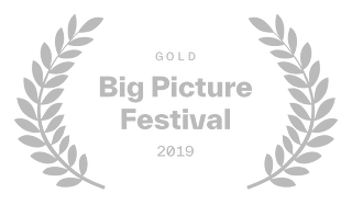 Big Picture Festival Gold 2019