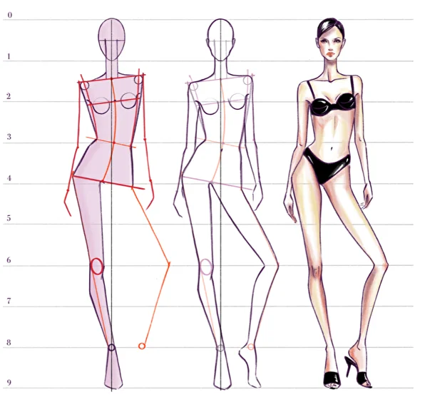 Human figure for fashion design top