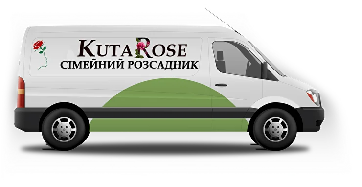 Троянда Коралл Желе (японська селекція) - kutarose.com