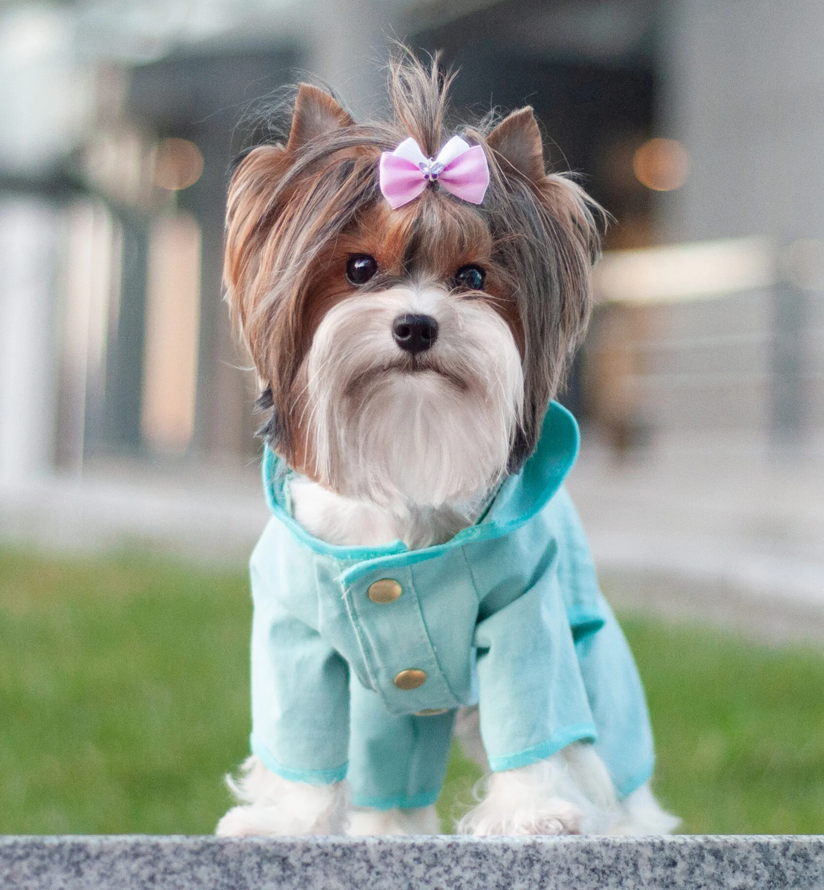 Жас қыз, бұл порно видеода не болып жатыр?