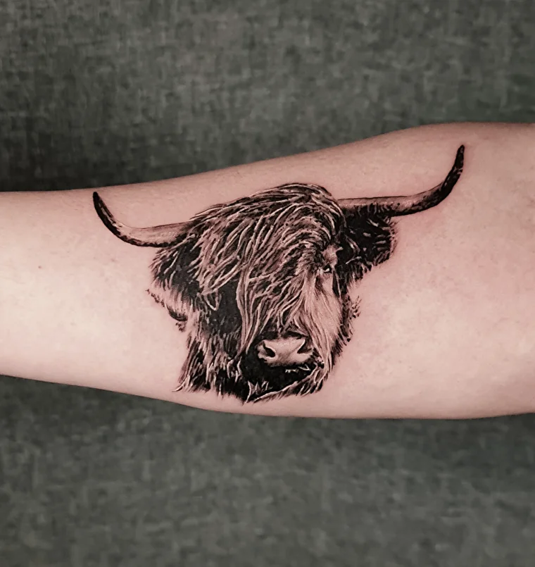 highland cow tattoo