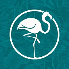 Flamingo Bournemouth